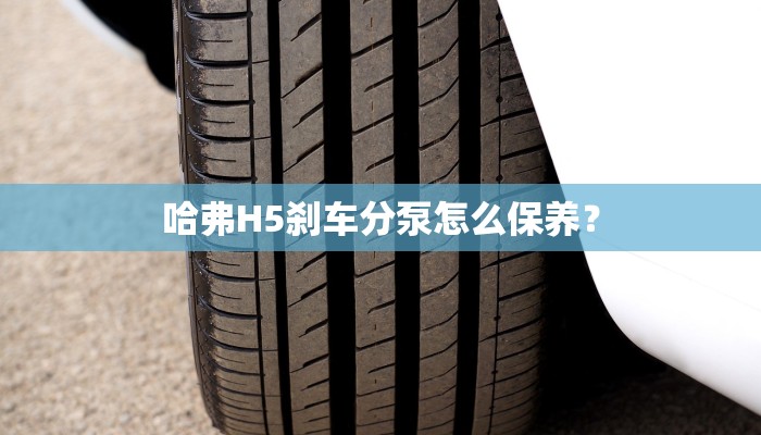哈弗H5刹车分泵怎么保养？