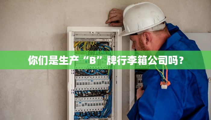 你们是生产“B”牌行李箱公司吗？