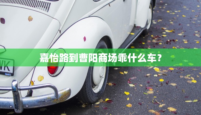 嘉怡路到曹阳商场乖什么车？