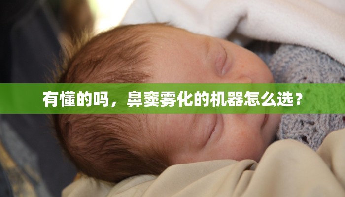 有懂的吗，鼻窦雾化的机器怎么选？