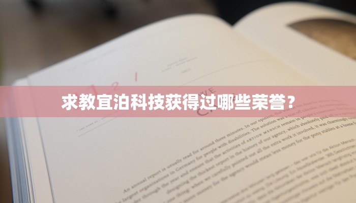 求教宜泊科技获得过哪些荣誉？