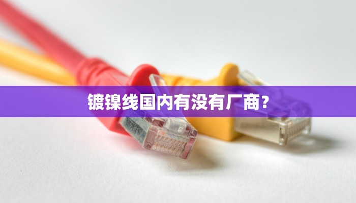 镀镍线国内有没有厂商？