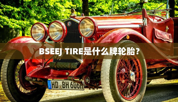 BSEEJ TIRE是什么牌轮胎？