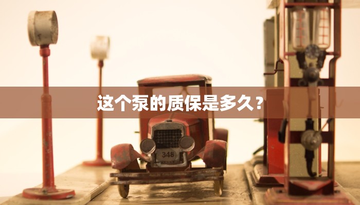 这个泵的质保是多久？