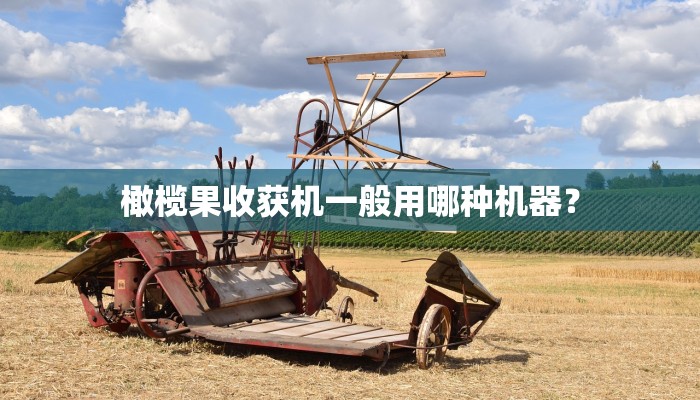 谁有蓝牌清障车出租？