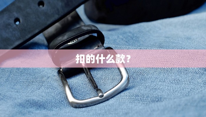扣的什么款？