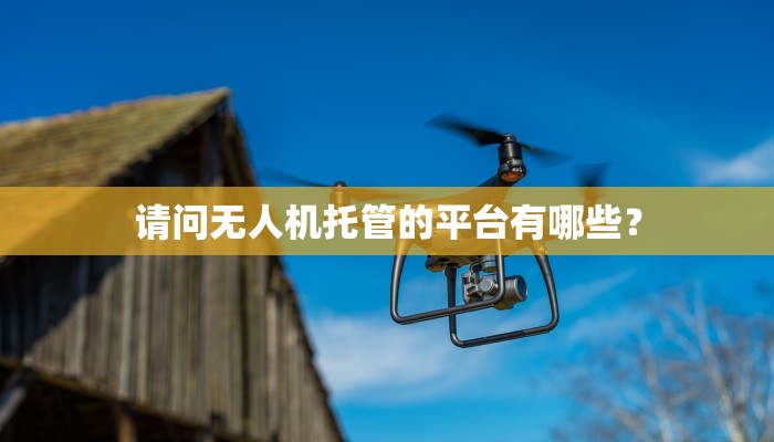 请问无人机托管的平台有哪些？