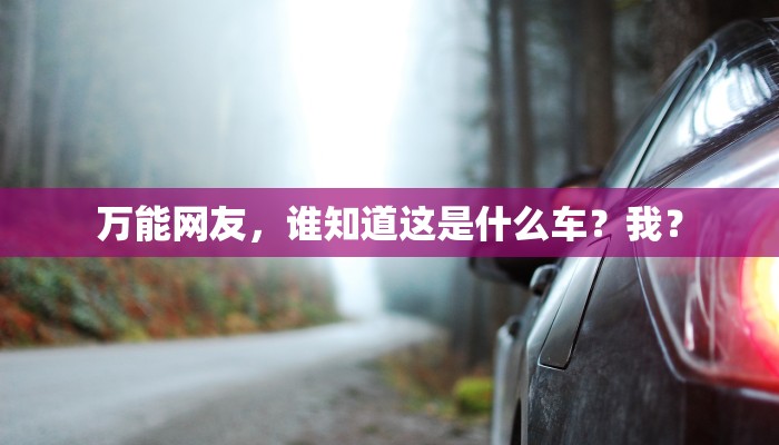 万能网友，谁知道这是什么车？我？