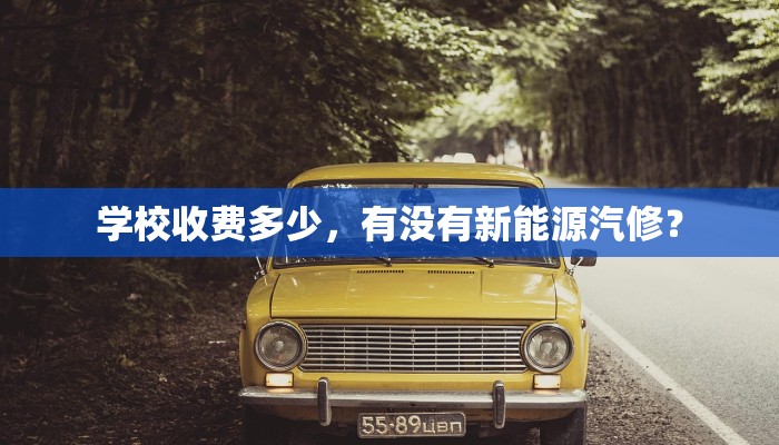 学校收费多少，有没有新能源汽修？