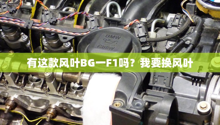 有这款风叶BG一F1吗？我要换风叶