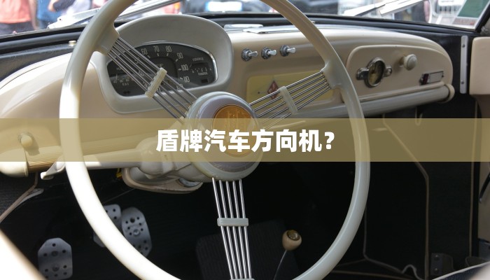 盾牌汽车方向机？