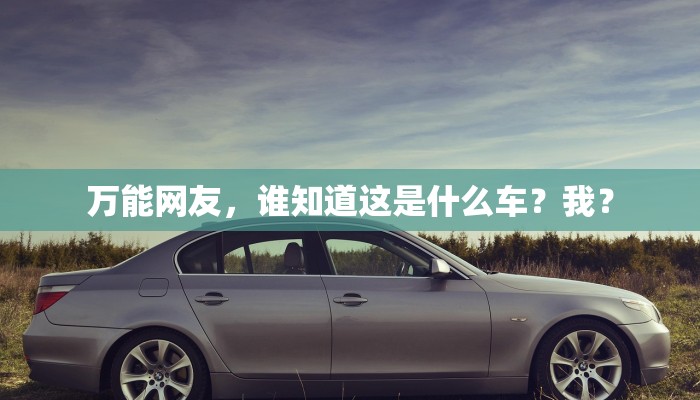 万能网友，谁知道这是什么车？我？