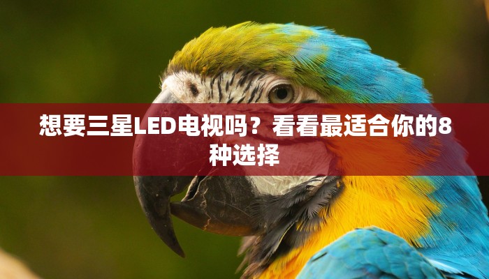 想要三星LED电视吗？看看最适合你的8种选择
