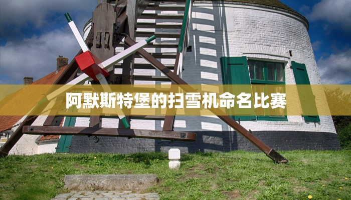 阿默斯特堡的扫雪机命名比赛
