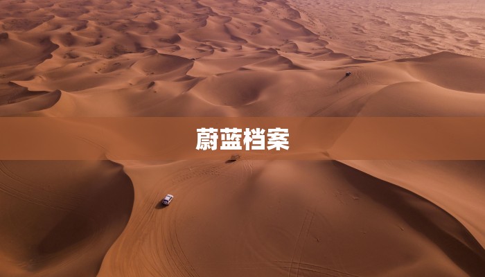 蔚蓝档案