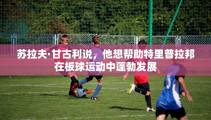 教程开挂辅助“新西游大厅透视”(详细开挂教程)