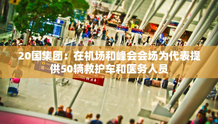 20国集团：在机场和峰会会场为代表提供50辆救护车和医务人员
