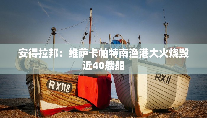 安得拉邦：维萨卡帕特南渔港大火烧毁近40艘船