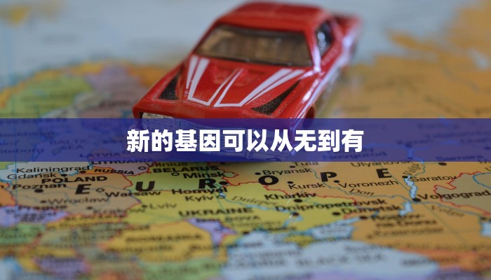 新的基因可以从无到有