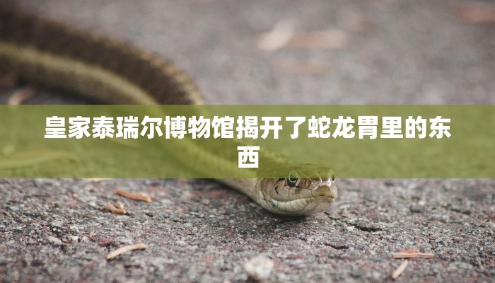 皇家泰瑞尔博物馆揭开了蛇龙胃里的东西