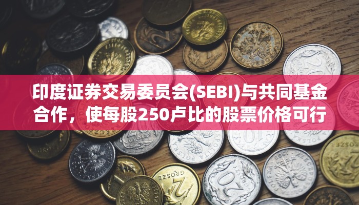 印度证券交易委员会(SEBI)与共同基金合作，使每股250卢比的股票价格可行：Madhabi Puri Buch