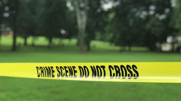 警长说，佛罗里达州一名男子在儿子面前开枪打死邻居，因为邻居在地产线附近修剪树木