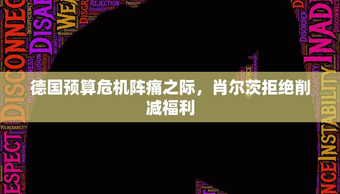 德国预算危机阵痛之际，肖尔茨拒绝削减福利
