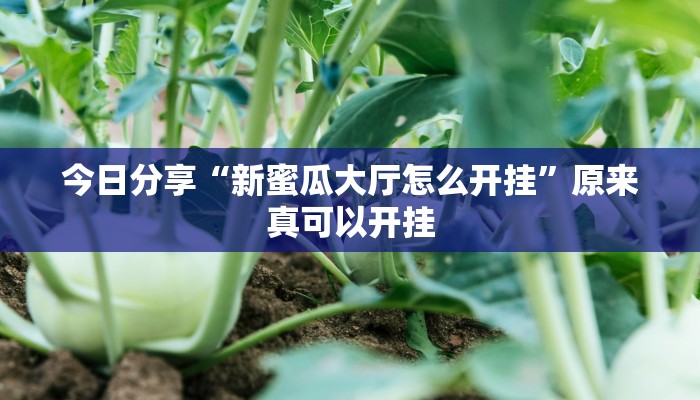 今日分享“新蜜瓜大厅怎么开挂”原来真可以开挂
