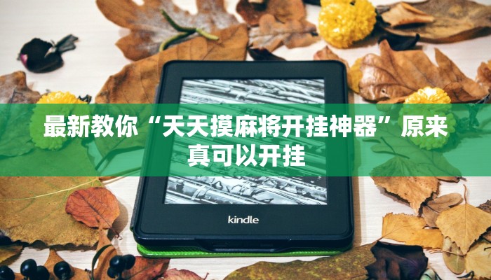 最新教你“天天摸麻将开挂神器”原来真可以开挂