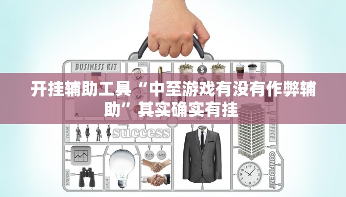 开挂辅助工具“中至游戏有没有作弊辅助”其实确实有挂 