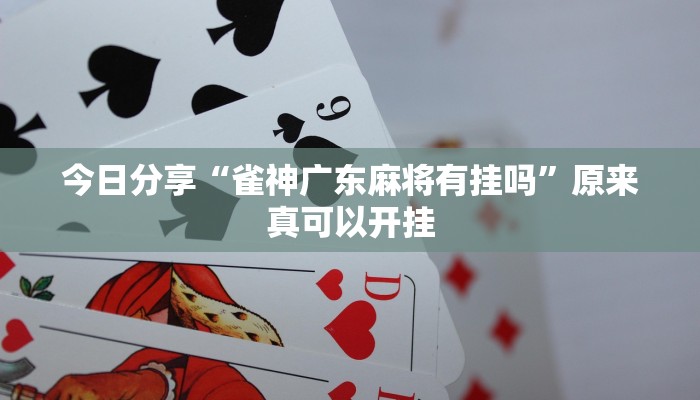 开挂辅助工具“启航竞技透视”其实确实有挂 