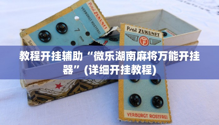 教程开挂辅助“微乐湖南麻将万能开挂器”(详细开挂教程)