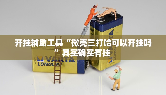 开挂辅助工具“微壳三打哈可以开挂吗”其实确实有挂 