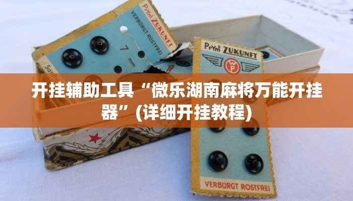 开挂辅助工具“微乐湖南麻将万能开挂器”(详细开挂教程)