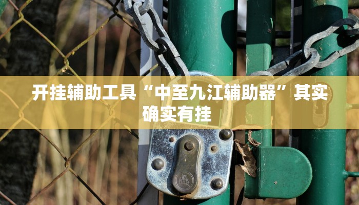 开挂辅助工具“中至九江辅助器”其实确实有挂 