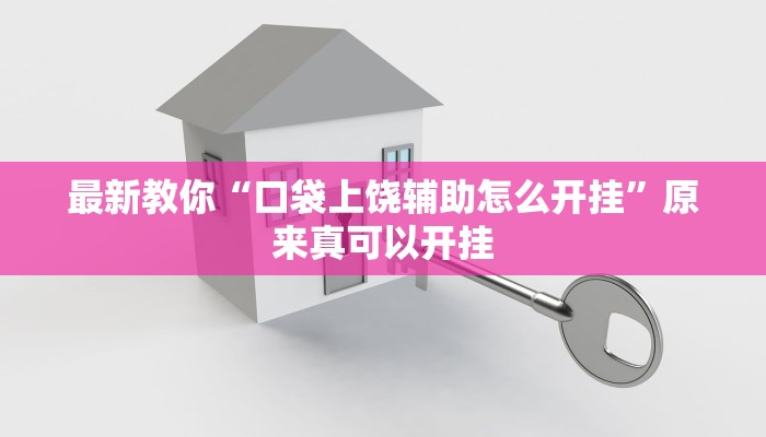 最新教你“口袋上饶辅助怎么开挂”原来真可以开挂