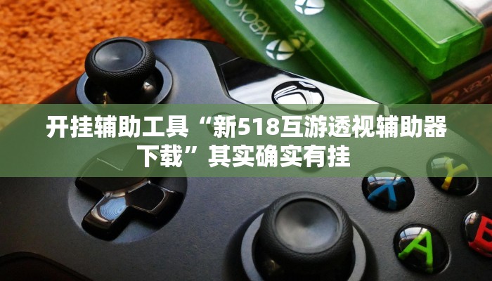 开挂辅助工具“新518互游透视辅助器下载”其实确实有挂 