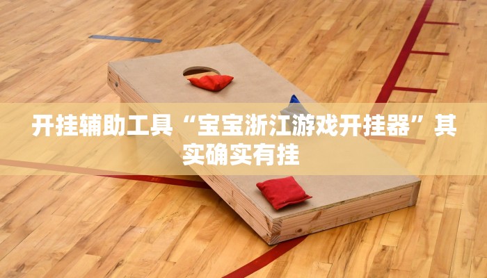 开挂辅助工具“宝宝浙江游戏开挂器”其实确实有挂 