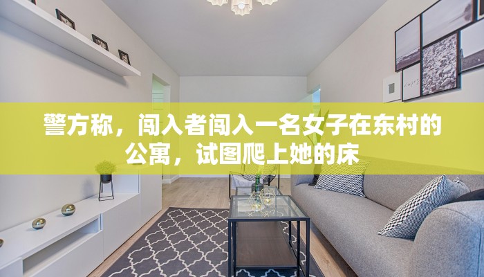警方称，闯入者闯入一名女子在东村的公寓，试图爬上她的床