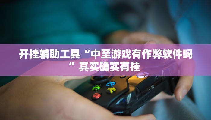 开挂辅助工具“中至游戏有作弊软件吗”其实确实有挂 