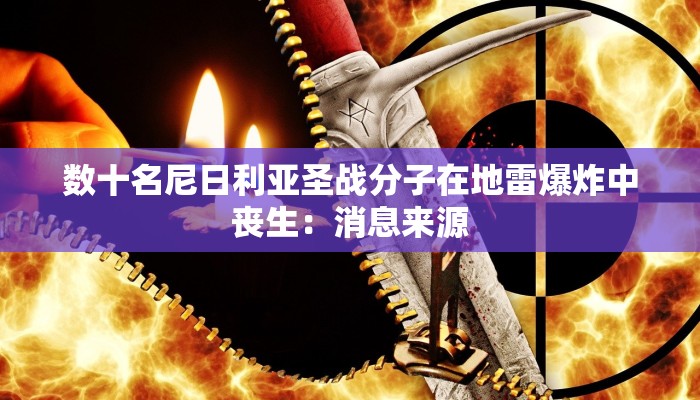 数十名尼日利亚圣战分子在地雷爆炸中丧生：消息来源