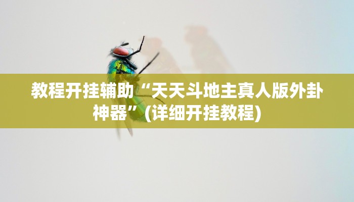教程开挂辅助“天天斗地主真人版外卦神器”(详细开挂教程)