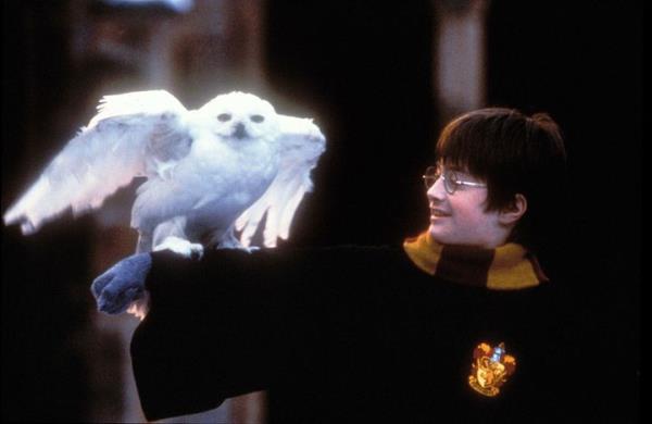 Daniel Radcliffe in 