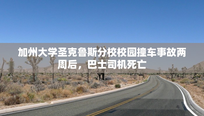 加州大学圣克鲁斯分校校园撞车事故两周后，巴士司机死亡