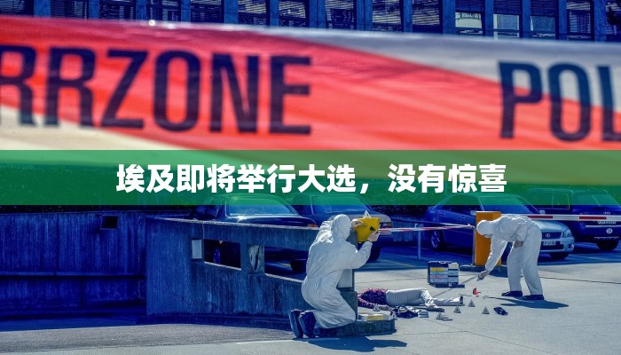埃及即将举行大选，没有惊喜