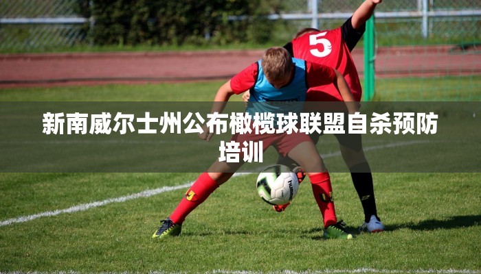 新南威尔士州公布橄榄球联盟自杀预防培训