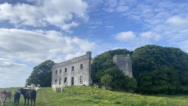 Over 3.1m Sought for 236-acre Dangan Castle