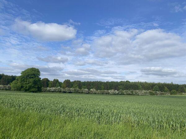 Some of the land on the 236-acre Dangan Castle Estate, Co. Meath