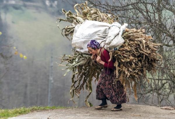 Global warming ‘to gravely influence evaporation rate in Black Sea region’