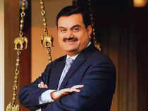Adani group stocks sustain record rally
